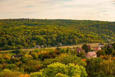 High angle view of trees on landscape against sky