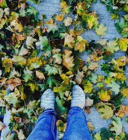 Low section of man standing on autumn leaves