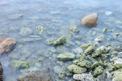 Rocks in sea