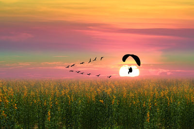 Scenic view of orange sky