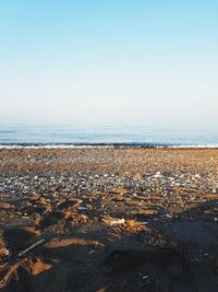 Close-up of pebbles on beach against clear sky