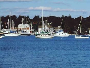 Boats moored at harbor