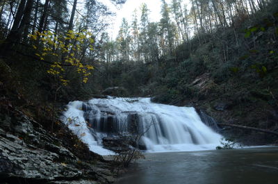 Scenic view of waterfall in forest