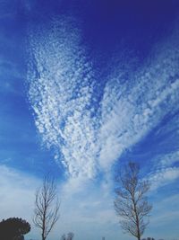 Low angle view of bare trees against blue sky