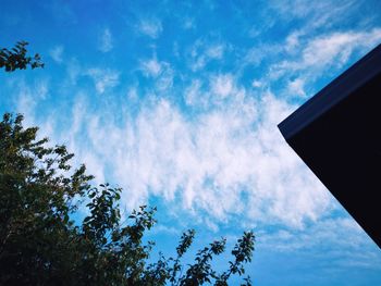 Low angle view of trees against blue sky