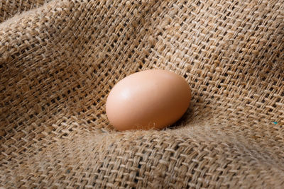 egg