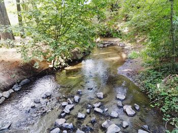 Stream flowing through rocks in forest