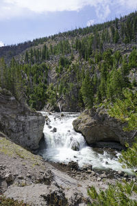 Scenic view of waterfall in forest against sky