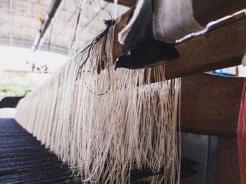 Close-up of clothes hanging on wood