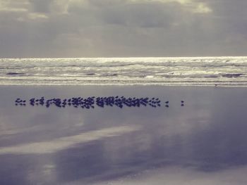 Scenic view of sea against sky