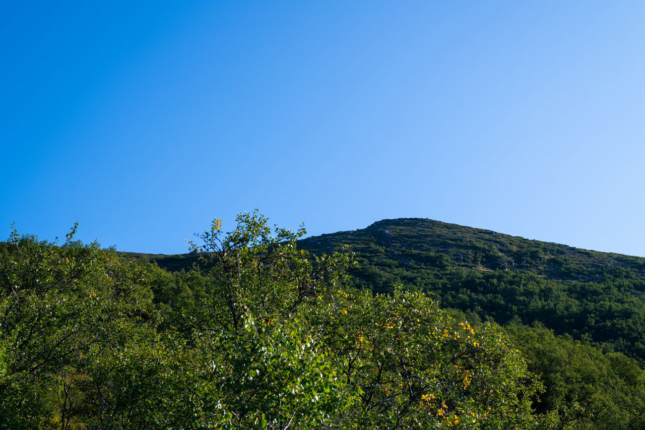 SCENIC VIEW OF LANDSCAPE AGAINST CLEAR BLUE SKY