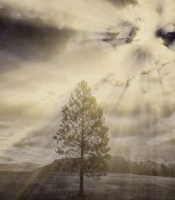 Scenic view of landscape against cloudy sky