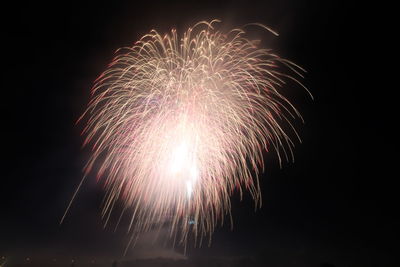 Low angle view of firework display at night