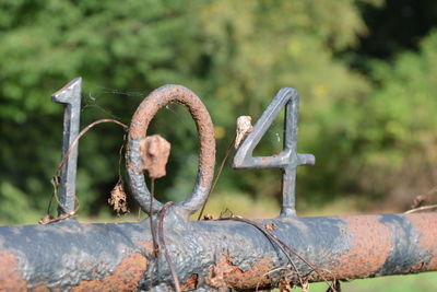 Close-up of barbed wire