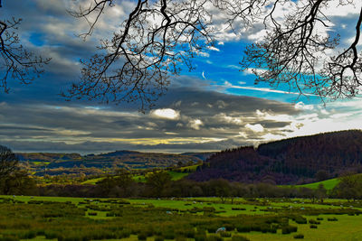 Scenic view of landscape against sky