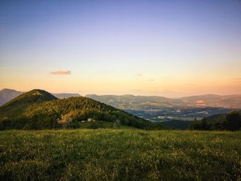 Scenic view of field against sky during sunset