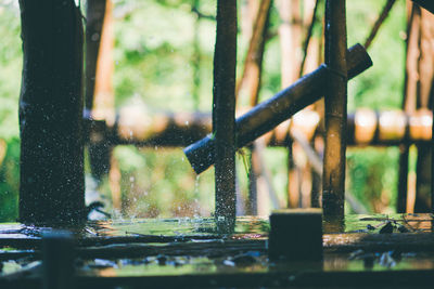 Close-up of wet fence against plants