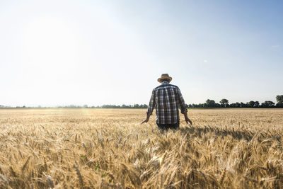 Back view of senior farmer standing in wheat field