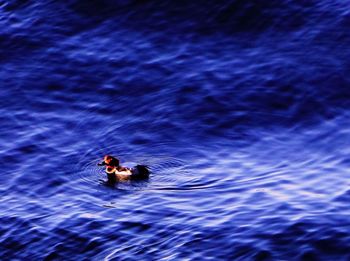 Man in sea against blue sky