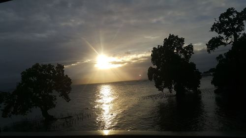 Silhouette trees by lake against sky during sunset