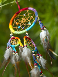 Close-up of multi colored feather hanging