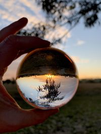 Close-up of hand holding plant against sky during sunset