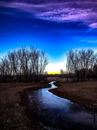 Bare trees on landscape against blue sky