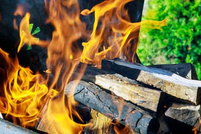 Close-up of fire on log