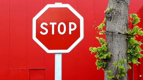 Close-up of road sign on red wall