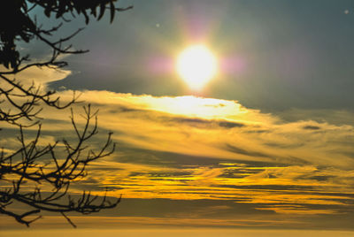 Silhouette tree against sky during sunset