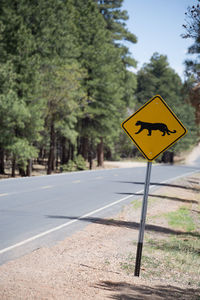 Close-up of road sign against trees