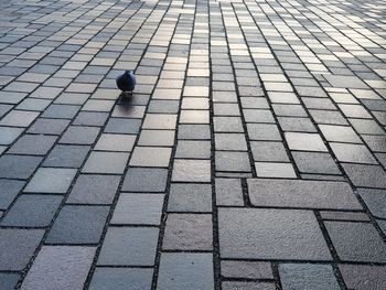 High angle view of cobblestone street