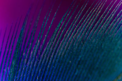 Full frame shot of multi colored background