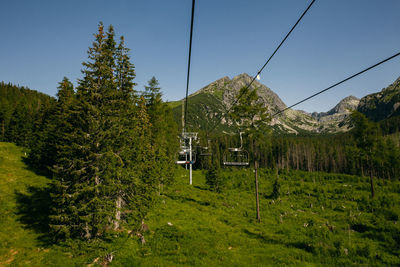 Overhead cable car in forest against sky