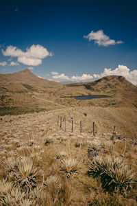 Scenic view of landscape and mountains against sky