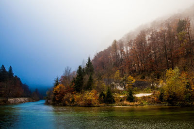 Scenic view of river by trees against clear sky