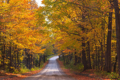 Walking down a country road