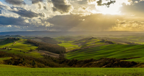 Scenic view of agricultural field against sky at sunset