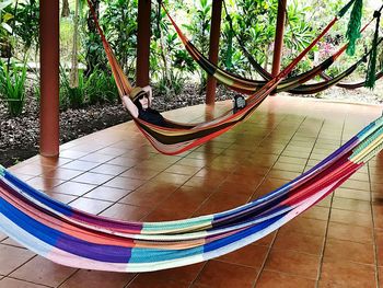 High angle view of hammock in park