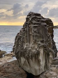 Driftwood on rock by sea against sky during sunset