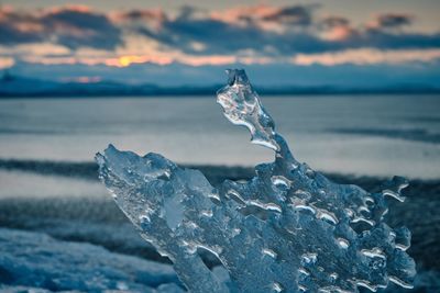 Close-up of ice crystals on land against sea