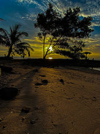 Silhouette trees on beach against sky at sunset