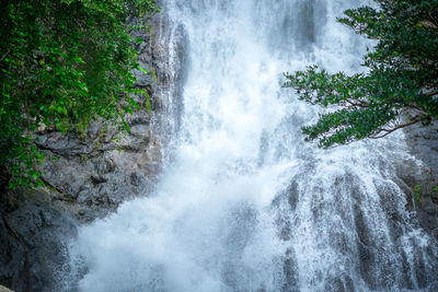 Scenic view of waterfall in forest