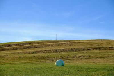 Scenic view of farm against clear blue sky