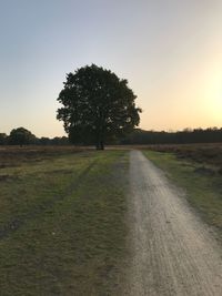 Road amidst field against clear sky during sunset