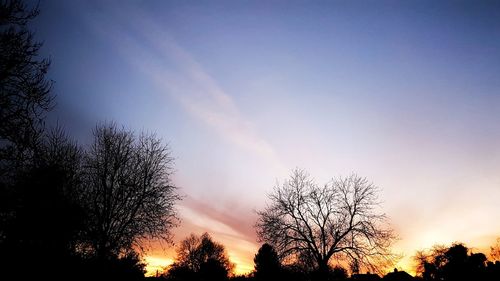 Low angle view of silhouette trees against sky during sunset