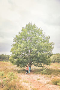 Tree on field against sky