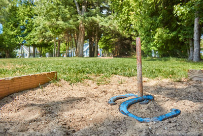 View of swing in park