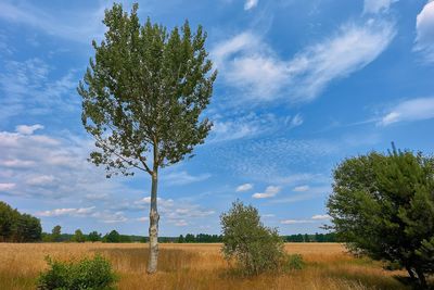 Scenic view of field against cloudy sky