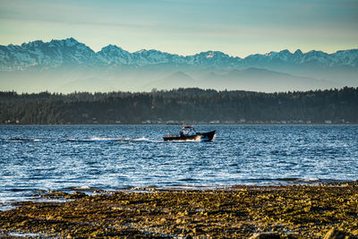 A boat cruises across the puget sound with the olympic mountains in the distance.